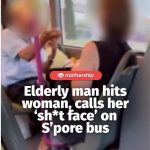@mothershipsg A witness who posted a video of the incident on Mar. 13 said that … @mothershipsg A witness who posted a video of the incident on Mar. 13 said that …