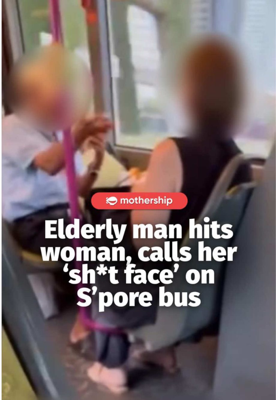 @mothershipsg A witness who posted a video of the incident on Mar. 13 said that …