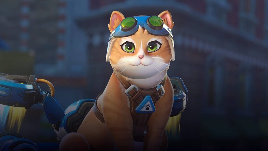 Overwatch’s Jetpack Cat has a hidden weakness you can never counter