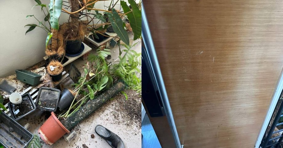 ‘Disheartening’: Bukit Batok resident files police report after home garden gets destroyed, Singapore News