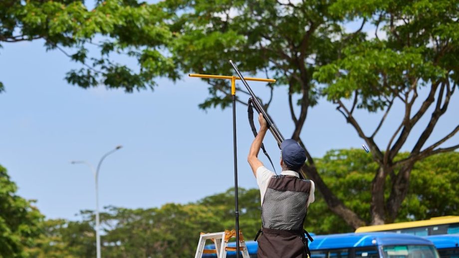 Crow shooting resumes in 9 districts, starting with Yishun