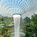 Singapore Slams Brakes on Climate Levy and Cleaner Fuel Mandate