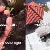 Boy films himself throwing soil at workers: ‘Make so much noise’, Singapore News