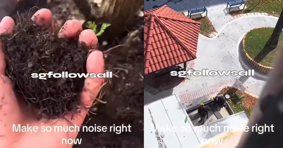 Boy films himself throwing soil at workers: ‘Make so much noise’, Singapore News