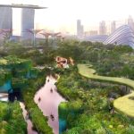 Gardens by the Bay to develop wetlands attraction with teamLab flagship museum