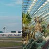 Tourist Ranks Singapore Attractions According To 6 Tiers, And Only One Local Attraction Made It To The Top “King” Tier