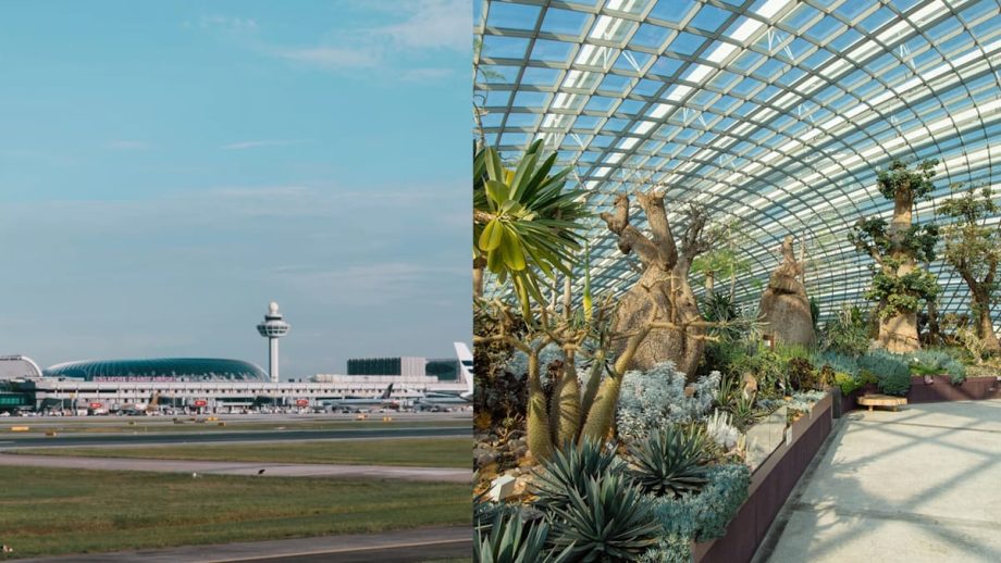 Tourist Ranks Singapore Attractions According To 6 Tiers, And Only One Local Attraction Made It To The Top “King” Tier