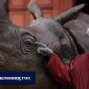 How a zoo’s sights, sounds and smells can benefit people with dementia