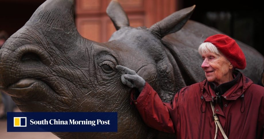 How a zoo’s sights, sounds and smells can benefit people with dementia