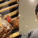 ‘There’s a cockroach inside’: Pest crawls over pastries in Changi Airport T1 cafe, shocks customer, Singapore News