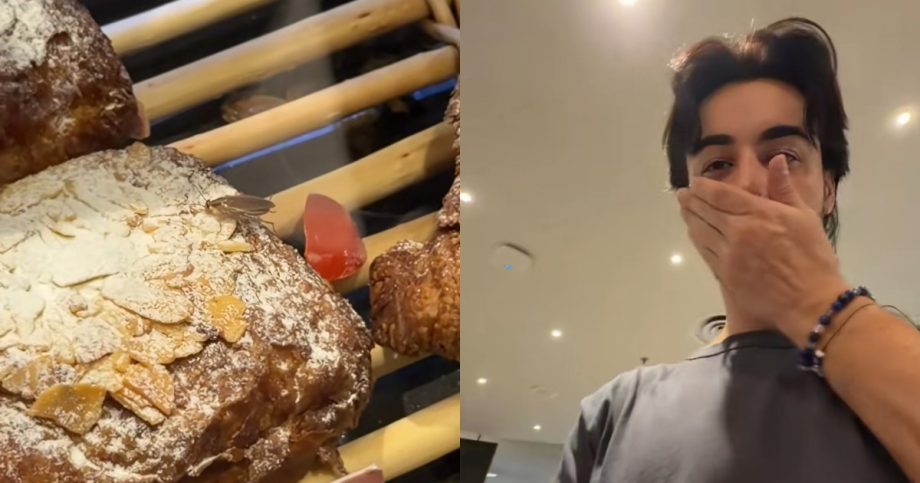 ‘There’s a cockroach inside’: Pest crawls over pastries in Changi Airport T1 cafe, shocks customer, Singapore News