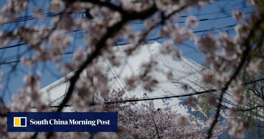 Cherry blossoms and Mount Fuji draw tourists to Japanese town. The locals are not happy
