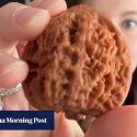 Turning walnuts into ‘jade’? TikTok, Instagram go nuts over ancient Chinese tradition