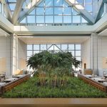 Review | Park Hyatt Tokyo’s reopening brings back memories of Lost In Translation and a bygone era