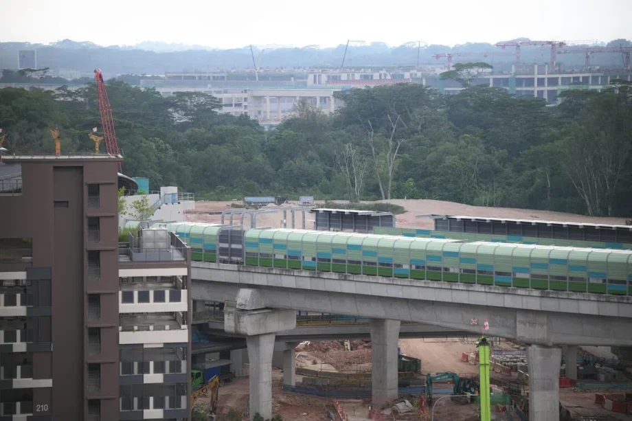 Tengah school construction expected to negatively impact biodiversity Tengah school construction expected to negatively impact biodiversity