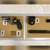 Jail, caning for ex-auxiliary cop who was off-duty when he carried loaded firearm in public