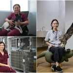The vets in Singapore who perform surgery, offer behavioural therapy and safeguard animal welfare