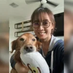 Breaking the silence on pet dementia – and what owners can do about it