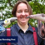 How a Hong Kong dinosaur expert is making her mark in what was ‘a gentleman’s science’ How a Hong Kong dinosaur expert is making her mark in what was ‘a gentleman’s science’