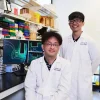 Brain regions and impulsive behaviour: New study