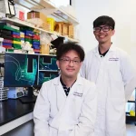 Brain regions and impulsive behaviour: New study