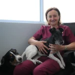 Helping pets that act out: The specialist in veterinary behavioural medicine giving hope to families