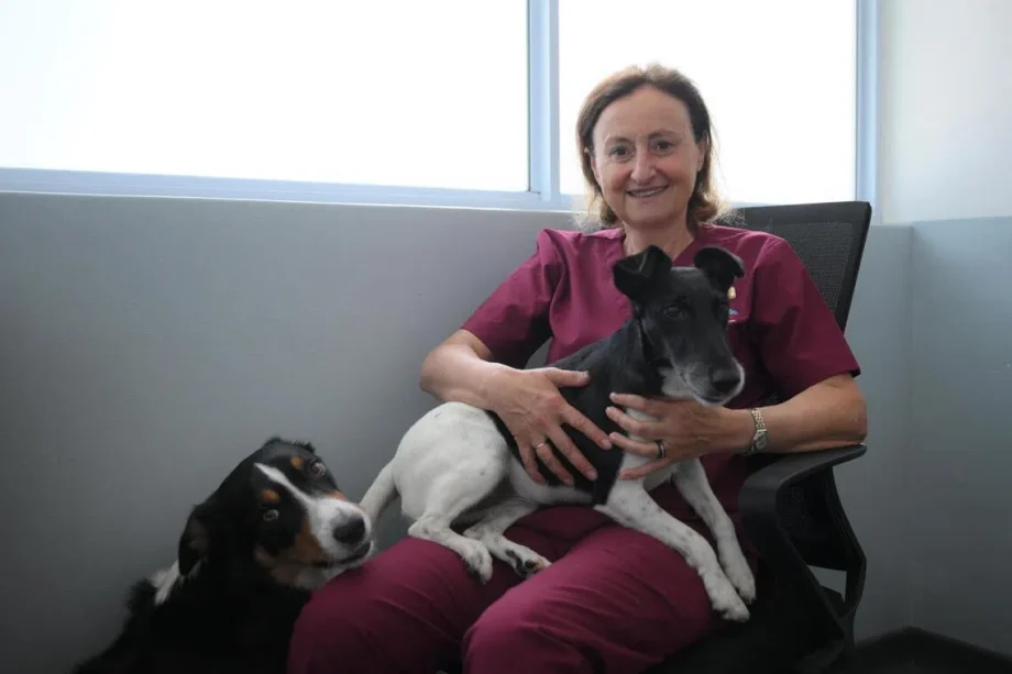 Helping pets that act out: The specialist in veterinary behavioural medicine giving hope to families