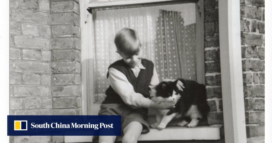 David Bowie’s former London home, where the pop star dreamed of fame, to open to the public