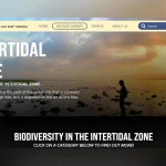 Singapore ‘Pokedex’: Wildlife spotting guide