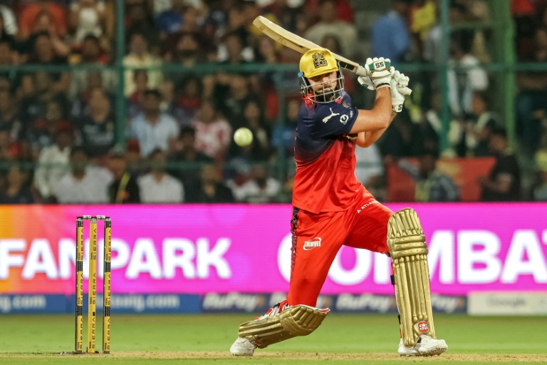 David six-hitting spree powers Bengaluru to IPL win