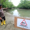 Crocodile sightings near Pulau Ubin: NParks advises caution