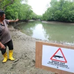 Crocodile sightings near Pulau Ubin: NParks advises caution