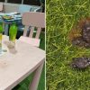 Baey Yam Keng ‘saddened’ over mess at community library in Tampines, urges residents to keep it clean
