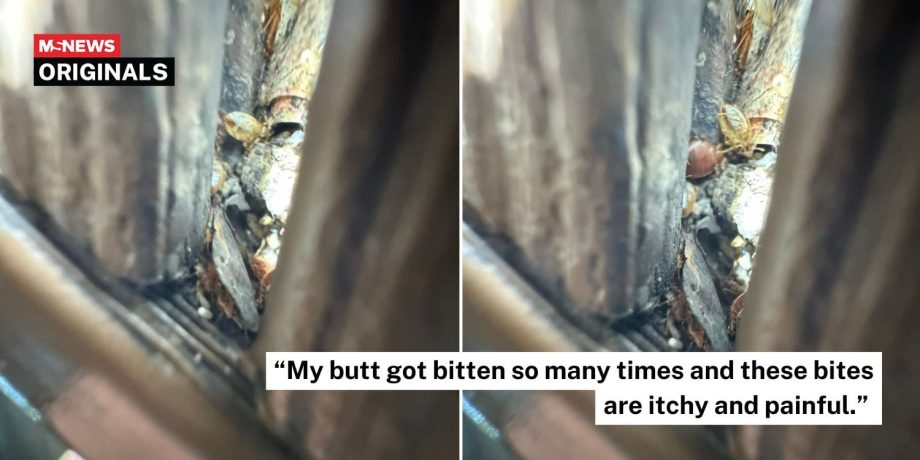Outdoor seating area in Ang Mo Kio allegedly infested with bedbugs, Town Council says they’re cockroaches Outdoor seating area in Ang Mo Kio allegedly infested with bedbugs, Town Council says they’re cockroaches