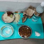 Netizens outraged after nasi lemak and sambal found on community cat’s feeding tray, Singapore News