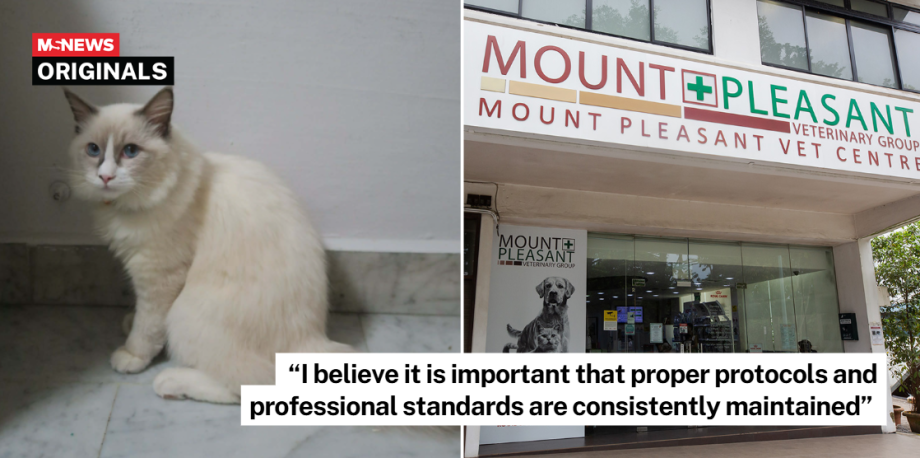 S’pore pet owner questions consent process at vet clinic, claims consent form signed after cat was on operating table S’pore pet owner questions consent process at vet clinic, claims consent form signed after cat was on operating table