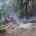 NEA urges responsible burning during Qing Ming