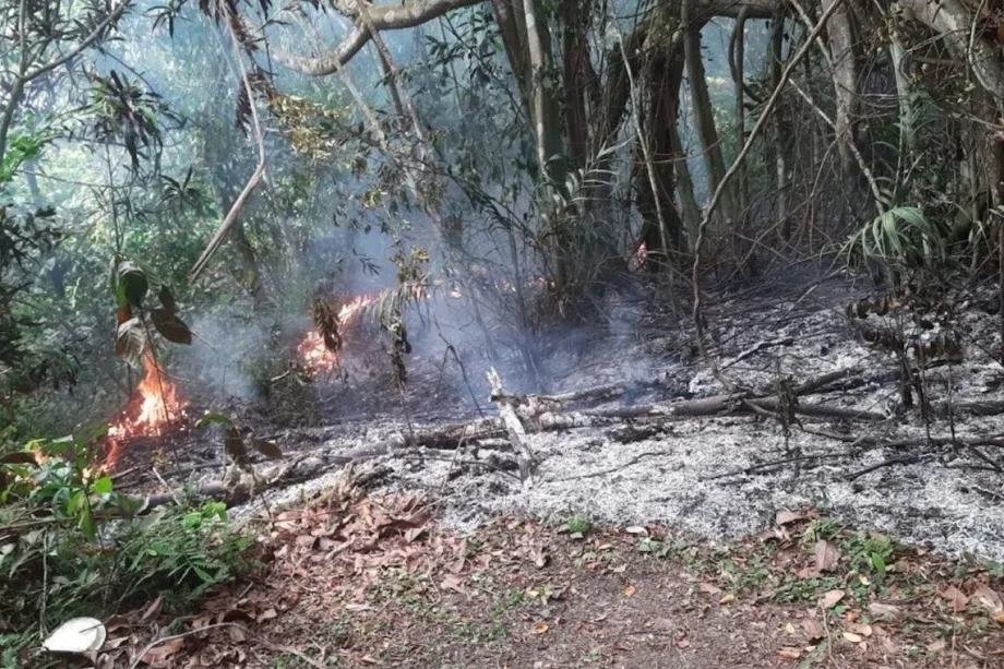 NEA urges responsible burning during Qing Ming