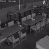 Two young men assisting police investigations for mischief over incident at 313@Somerset restaurant