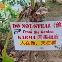 ‘Karma’ and ‘heaven is watching’: Sign at Simon Lane warns against stealing plants