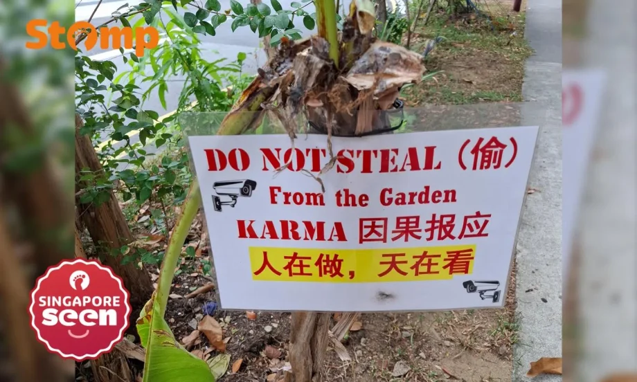 ‘Karma’ and ‘heaven is watching’: Sign at Simon Lane warns against stealing plants
