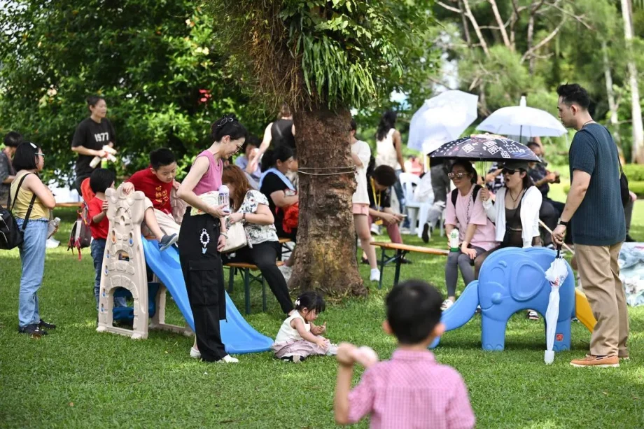 Large families with young children to receive ,000 in LifeSG credits on April 28