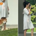 Stomper calls out ‘irresponsible’ pet owner for not picking up dog poop in Sembawang