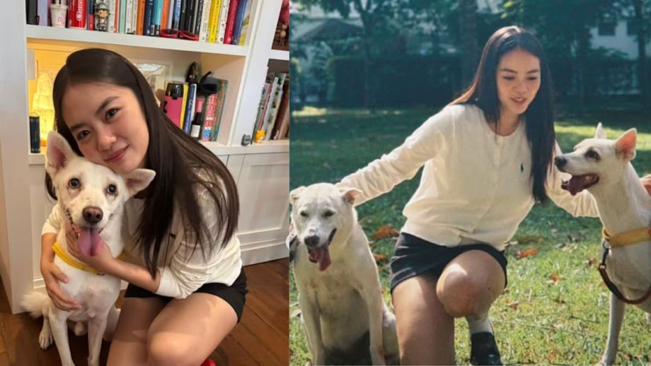 Chantalle Ng’s Foster Dog Was Rescued From South Korean Dog Meat Farm; Now He’s Looking For His Forever Home In S’pore