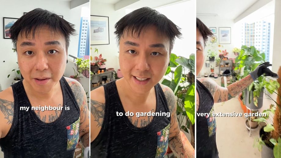 TikToker Says Neighbour Throwing Cigarette Butts In His “Extensive” Corridor Garden; Sparks Debate Over Shared HDB Spaces Instead