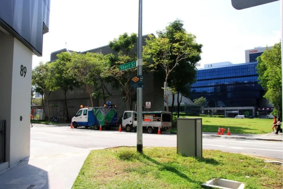 Rape victim hoping for help after attack in field in Rochor sexually assaulted by second man