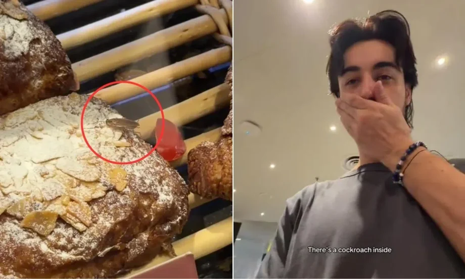 Cockroach crawls over pastries at Paul S’pore outlet in Changi Airport T1, cafe discards food items