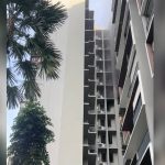 80 residents evacuated after fire breaks out at Choa Chu Kang condo; no injuries reported, Singapore News