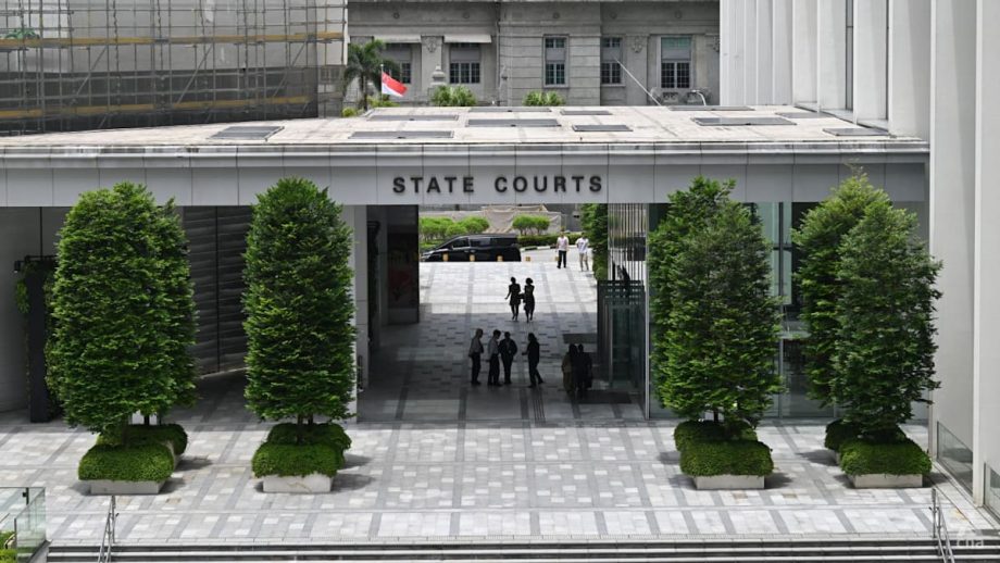 Coroner opens inquiry into death of 78-year-old pedestrian; driver claims she did not hit her