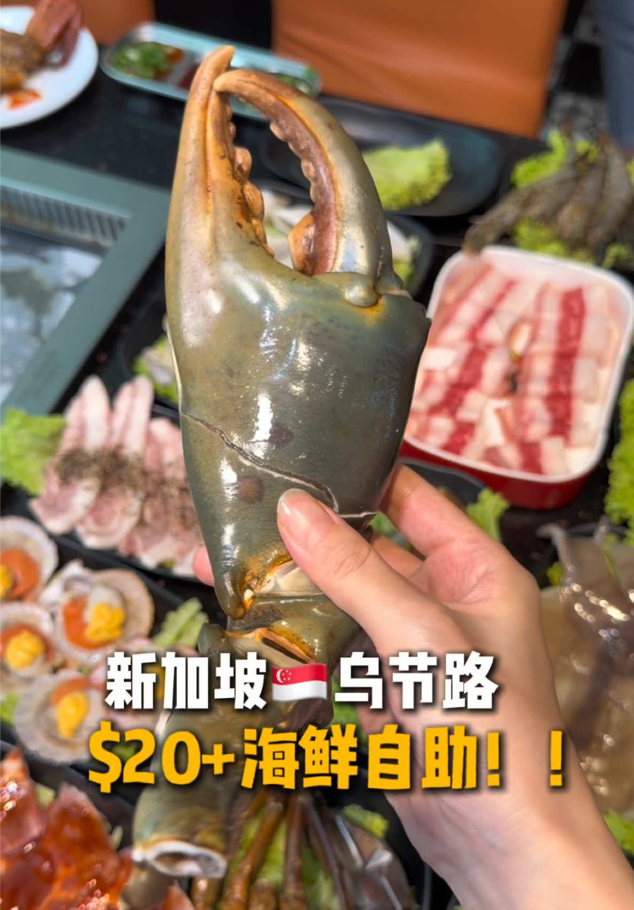 @starry.qiuqiu 螃蟹不限量… 20+的海鲜自助能处！！ #新加坡美食 #sgfoodie #sglife #上热门 #sgtiktok  …